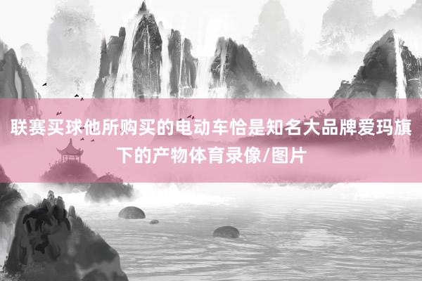 联赛买球他所购买的电动车恰是知名大品牌爱玛旗下的产物体育录像/图片