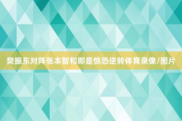 樊振东对阵张本智和即是惊恐逆转体育录像/图片