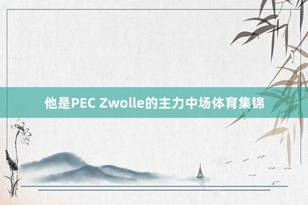 他是PEC Zwolle的主力中场体育集锦