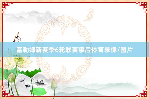 富勒姆新赛季6轮联赛事后体育录像/图片