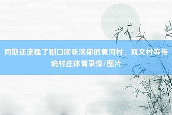 同期还流程了糊口吻味浓郁的黄河村、双文村等传统村庄体育录像/图片